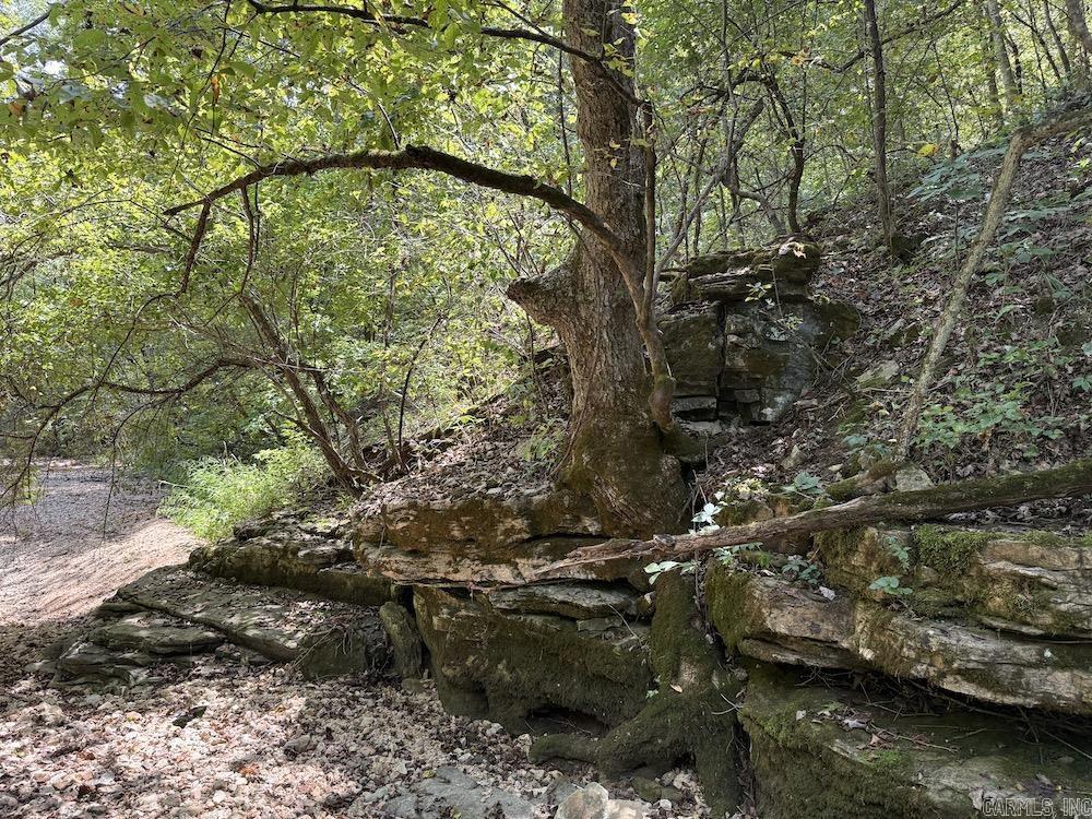 550 Hillbilly Hollow Trail Property Photo 44