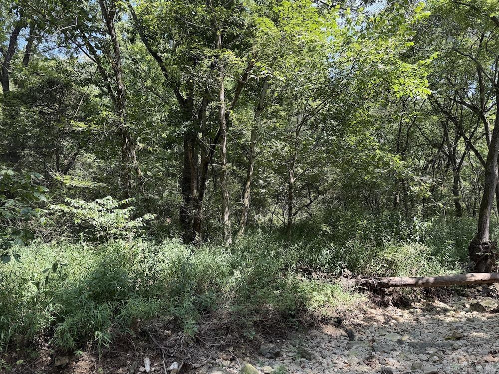 550 Hillbilly Hollow Trail Property Photo 46