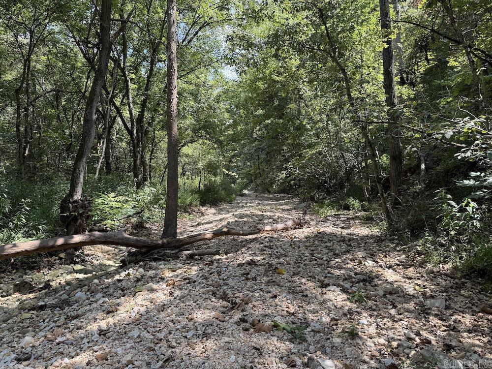 550 Hillbilly Hollow Trail Property Photo 47