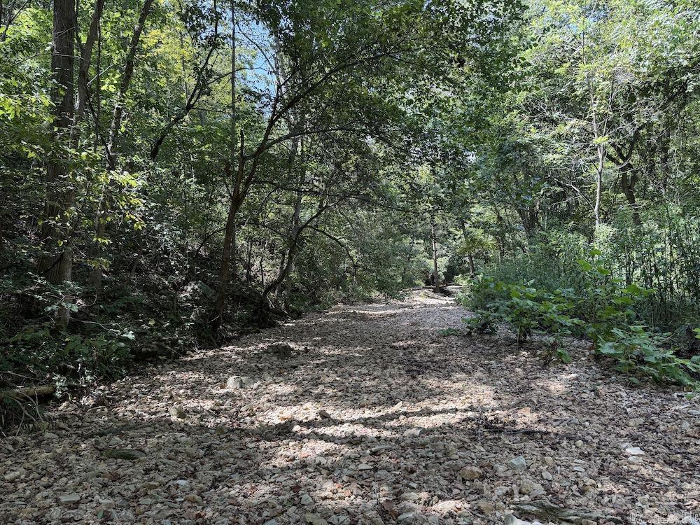 550 Hillbilly Hollow Trail Property Photo 49