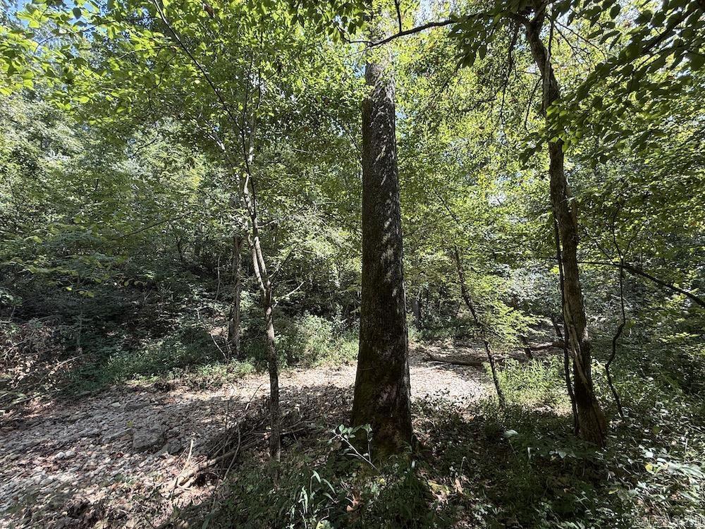 550 Hillbilly Hollow Trail Property Photo 50