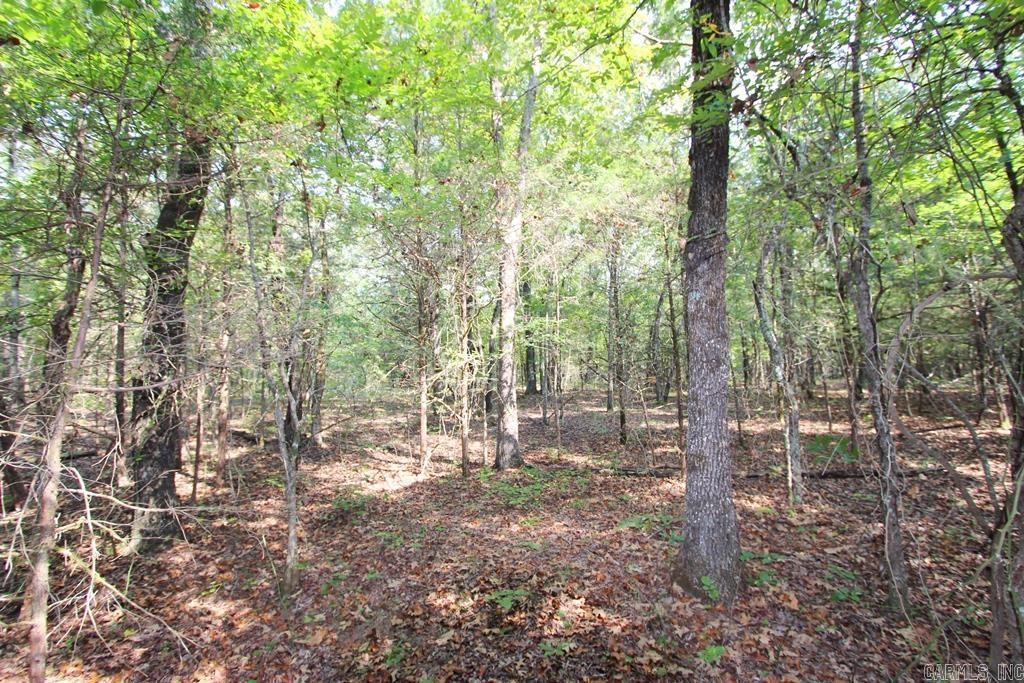 226 Blythe Road Property Photo 9