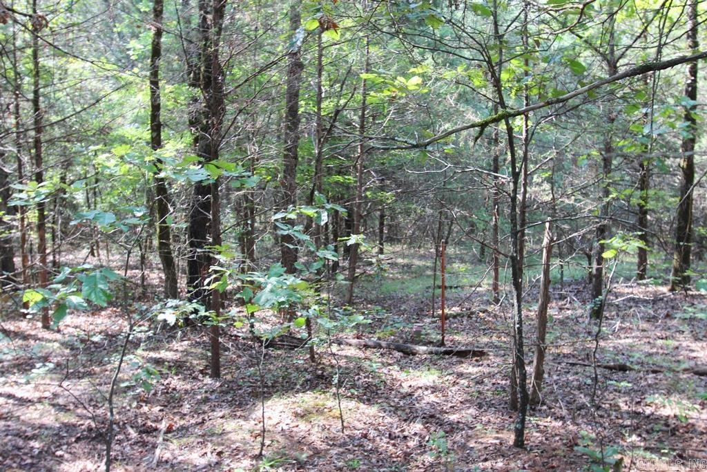 226 Blythe Road Property Photo 10
