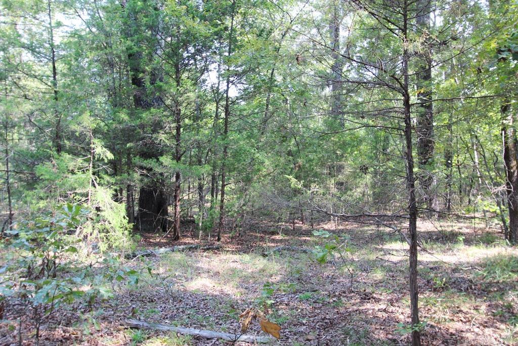 226 Blythe Road Property Photo 11