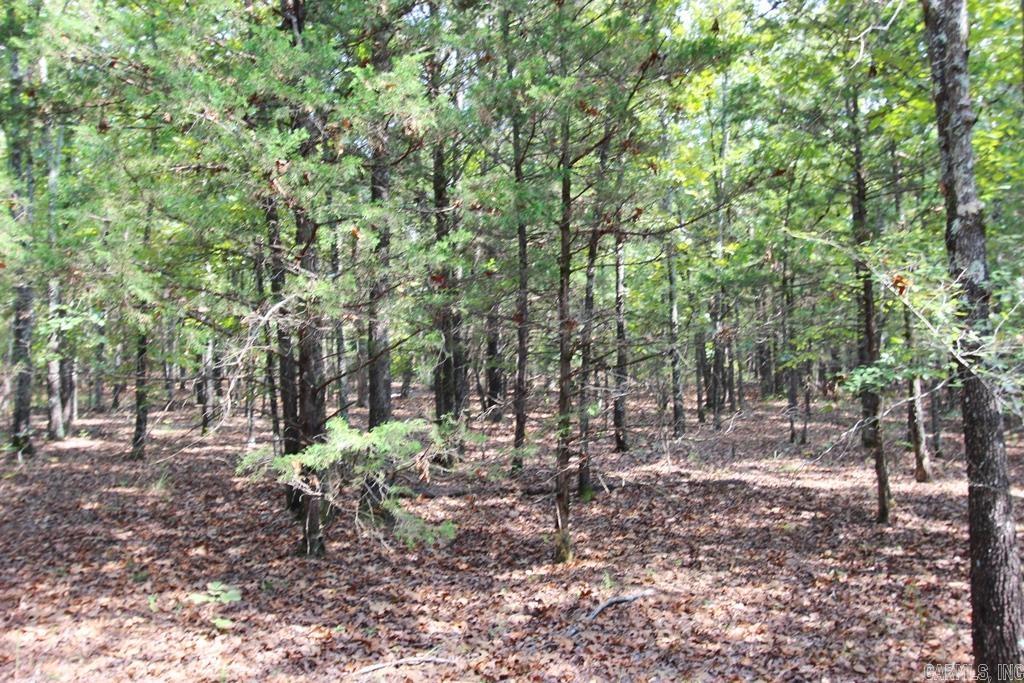 226 Blythe Road Property Photo 16
