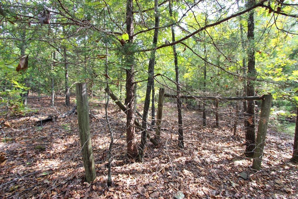 226 Blythe Road Property Photo 29