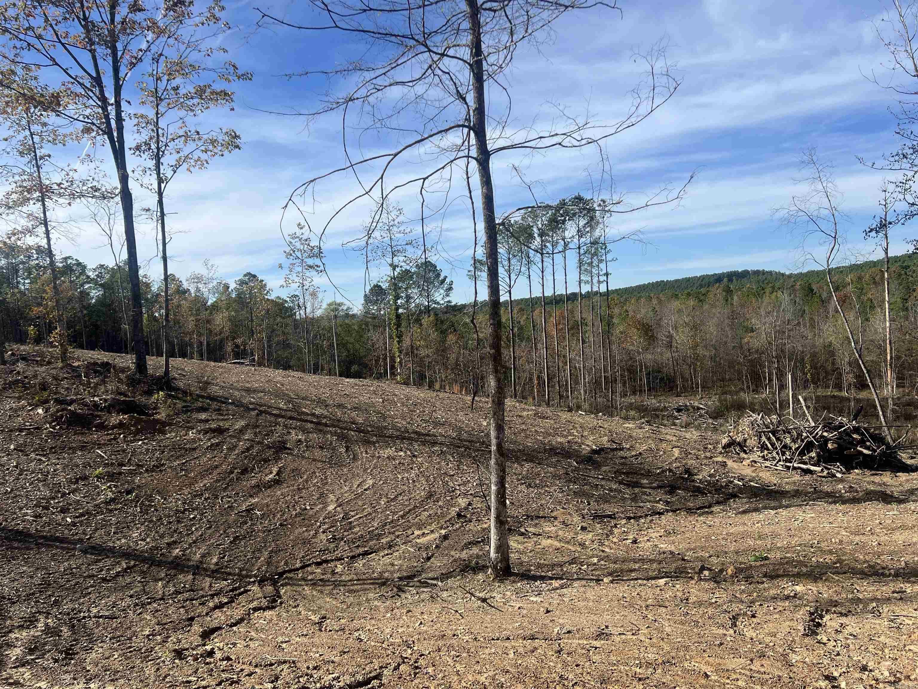 Tbd Hwy 84 Property Photo 2