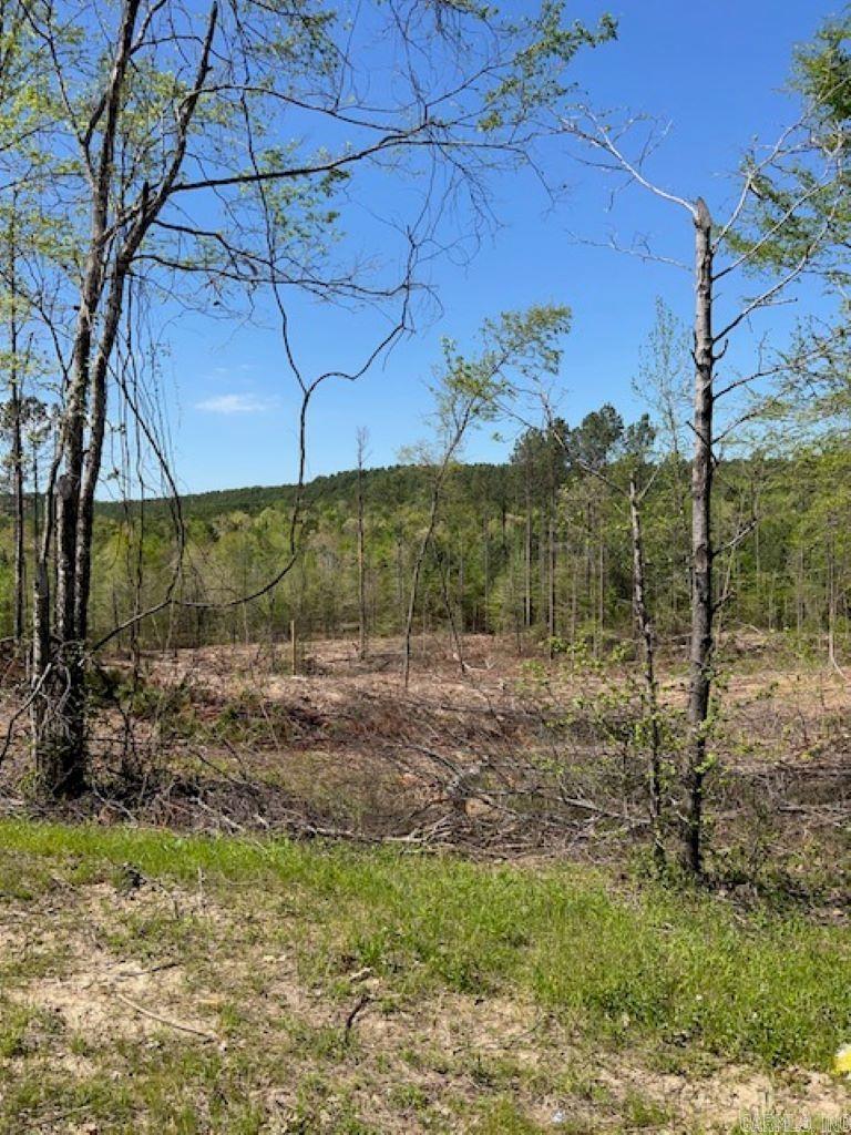 Tbd Hwy 84 Property Photo 3