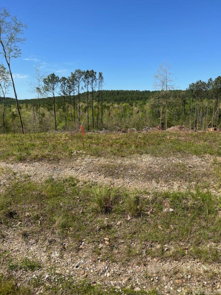 Tbd Hwy 84 Property Photo 4