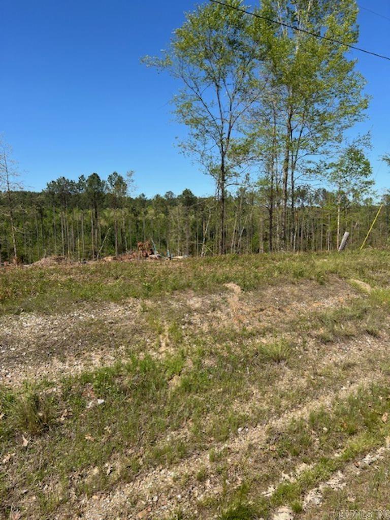 Tbd Hwy 84 Property Photo 5