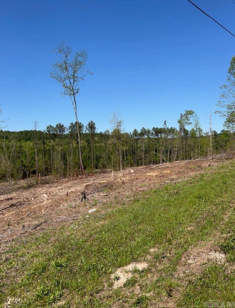 Tbd Hwy 84 Property Photo 6