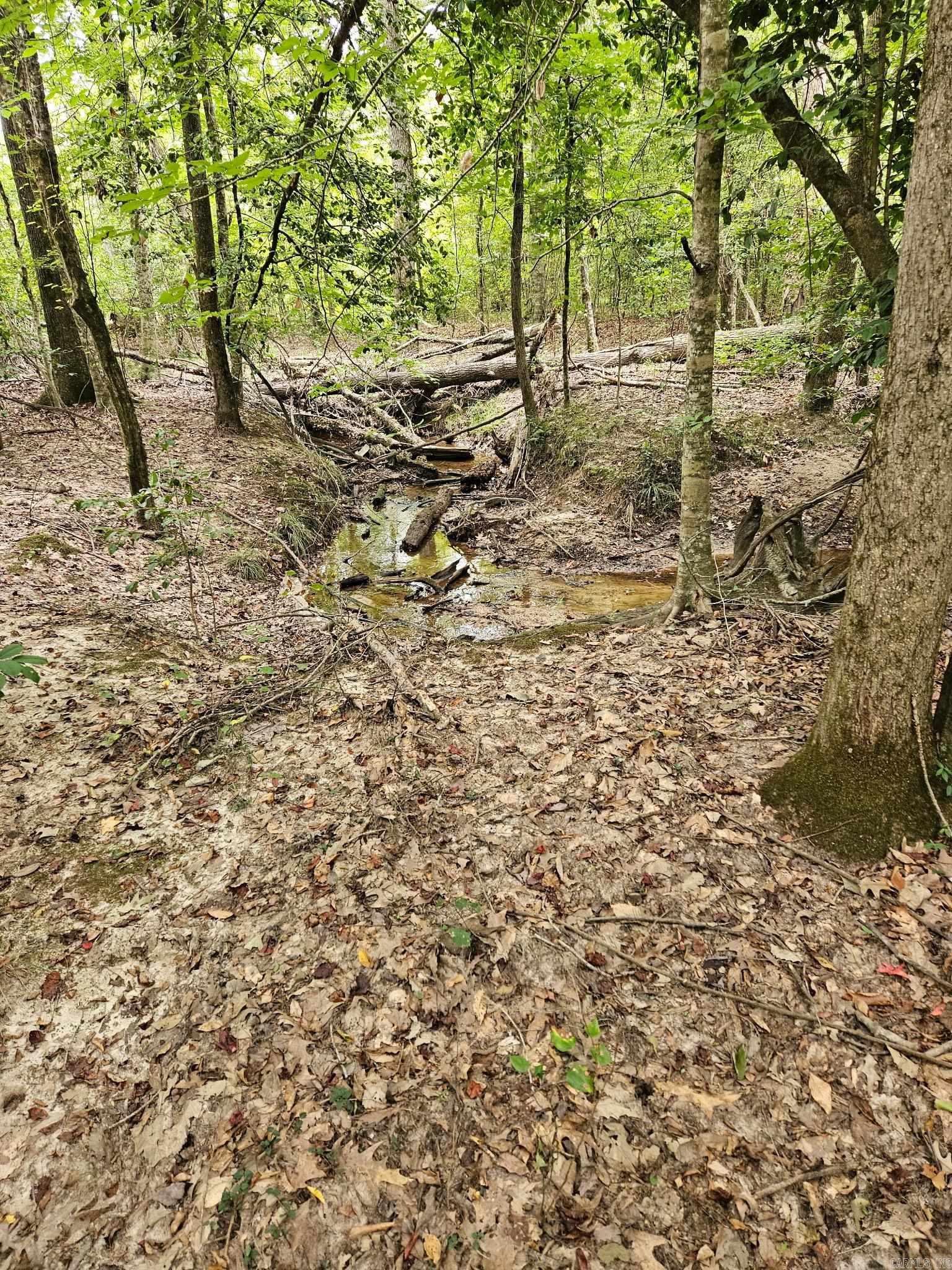 E 28 Acres Dallas 203 Property Photo 3