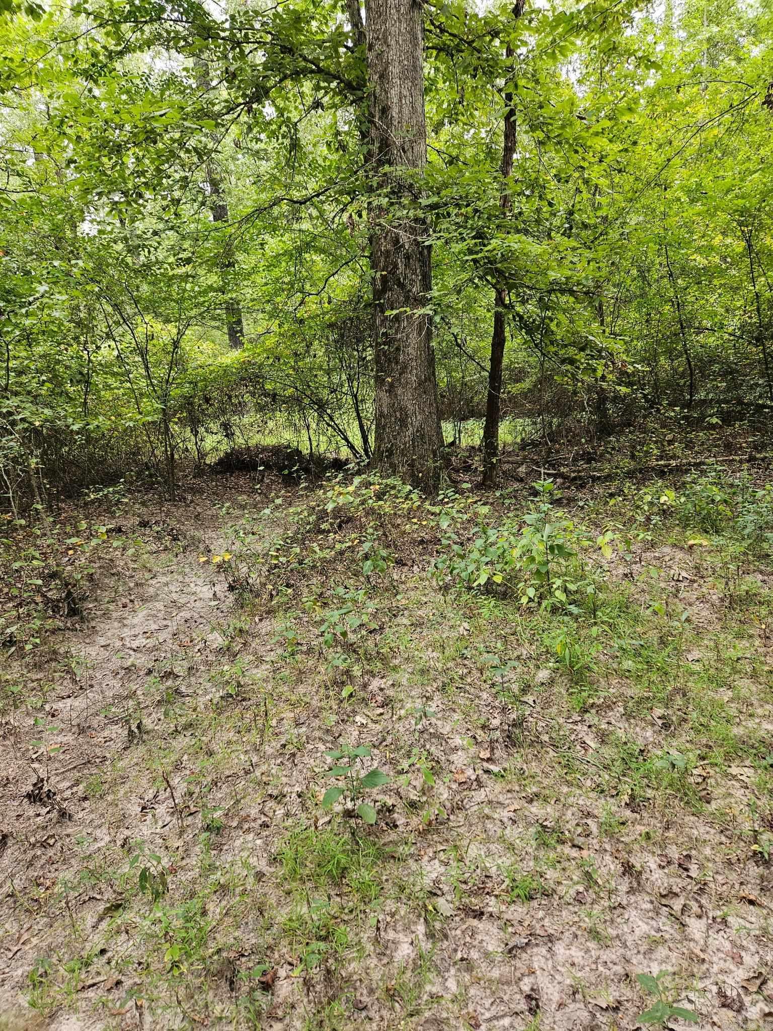 E 28 Acres Dallas 203 Property Photo 4