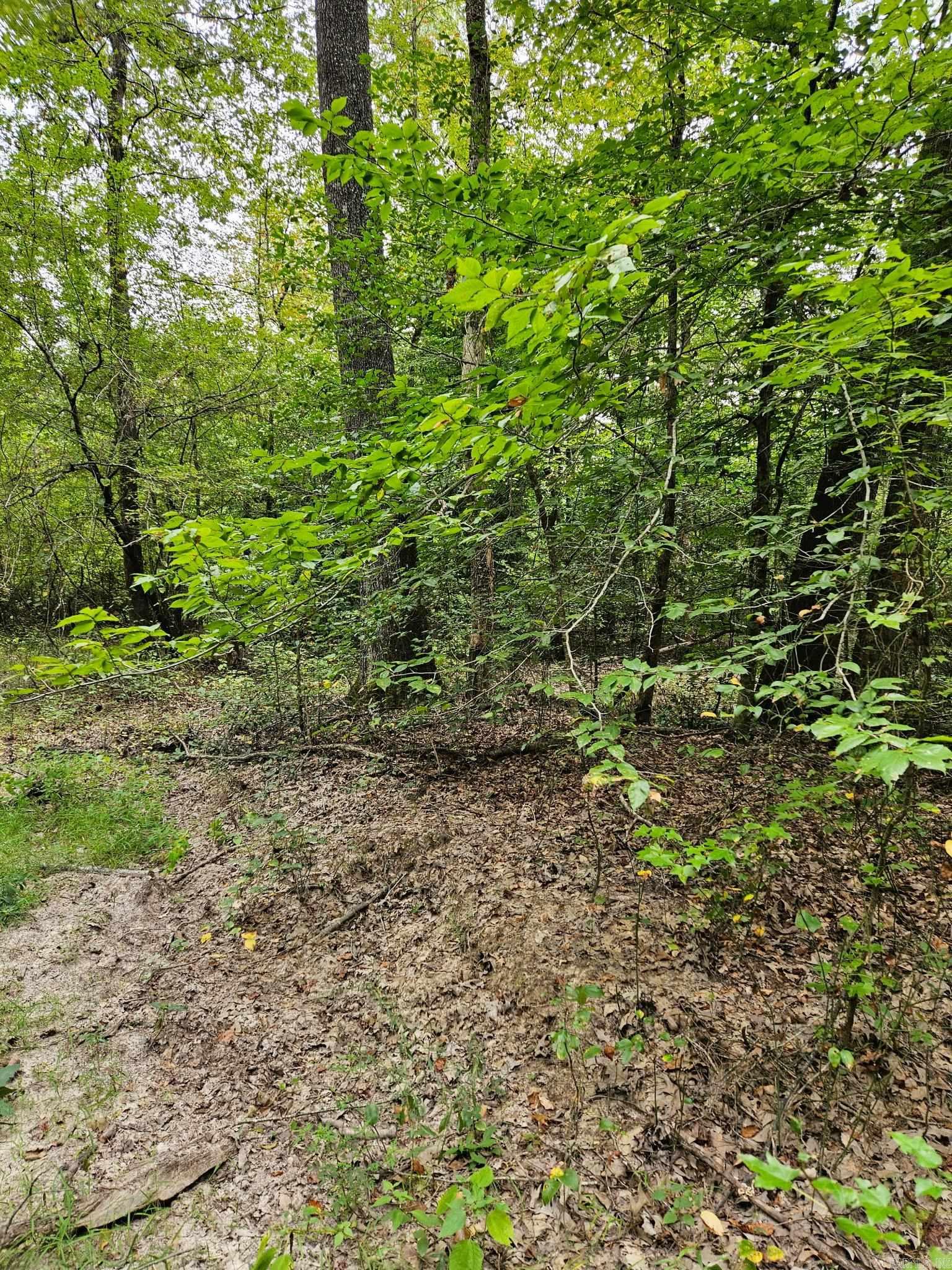 E 28 Acres Dallas 203 Property Photo 5