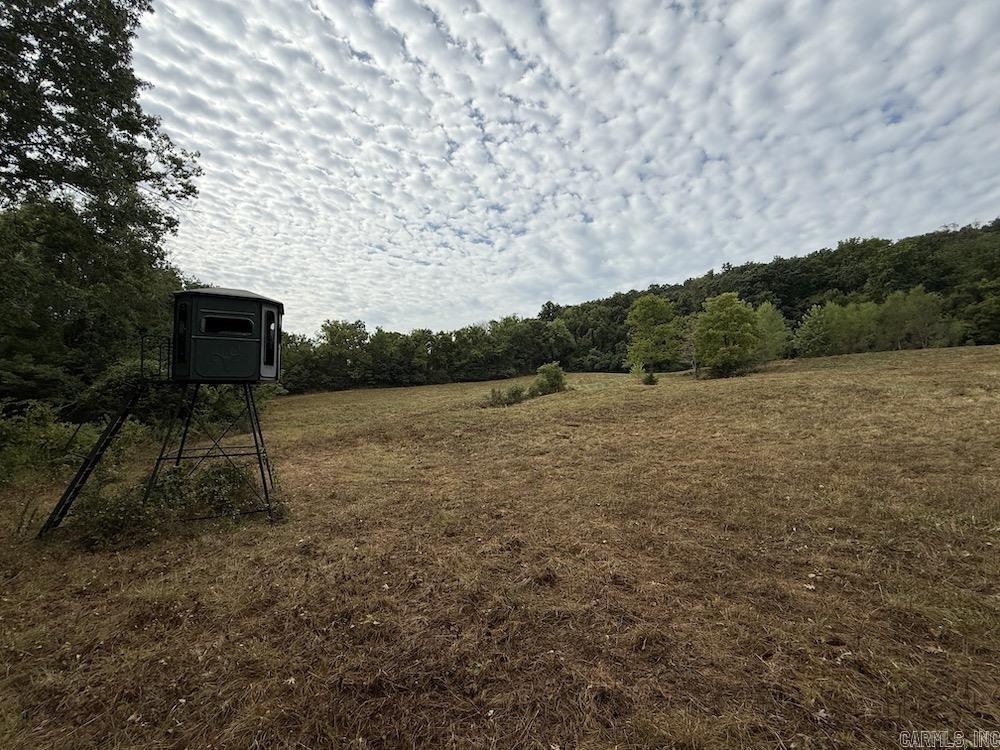 Lick Fork Road, Property Photo 2