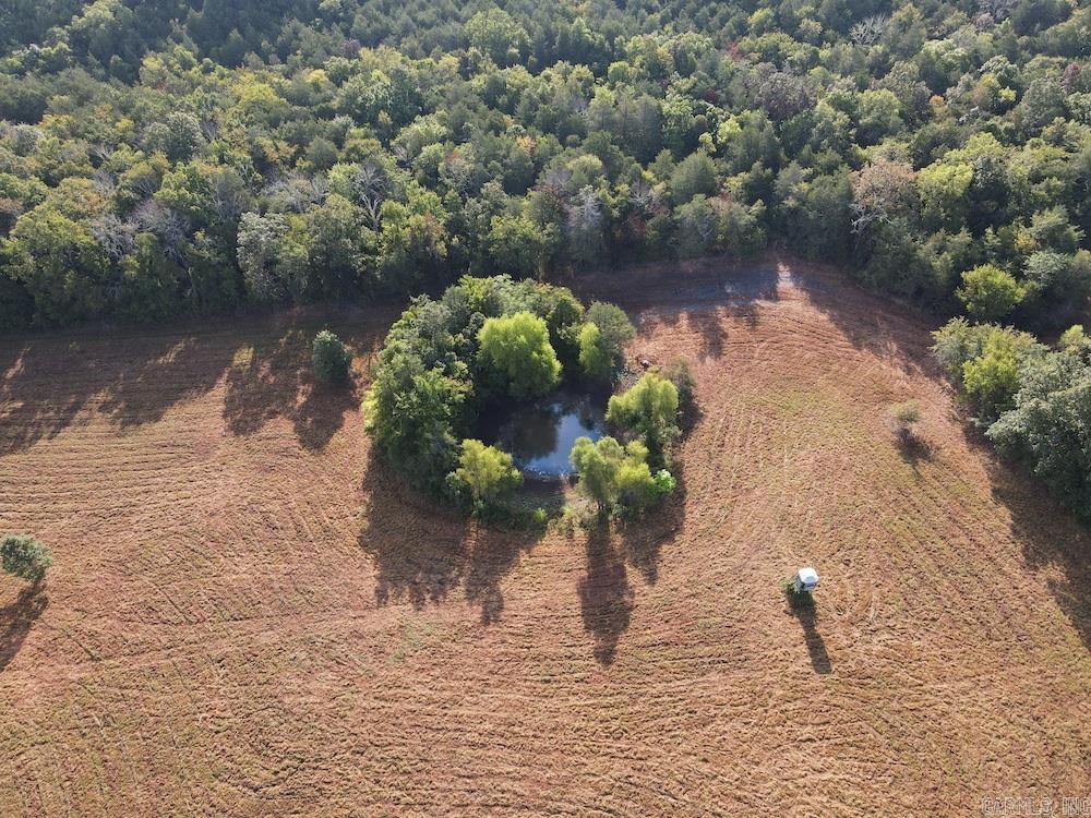 Lick Fork Road, Property Photo 3