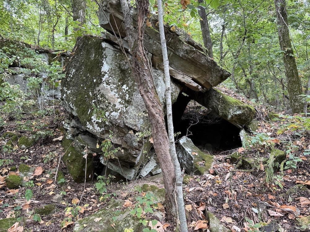 Lick Fork Road, Property Photo 4