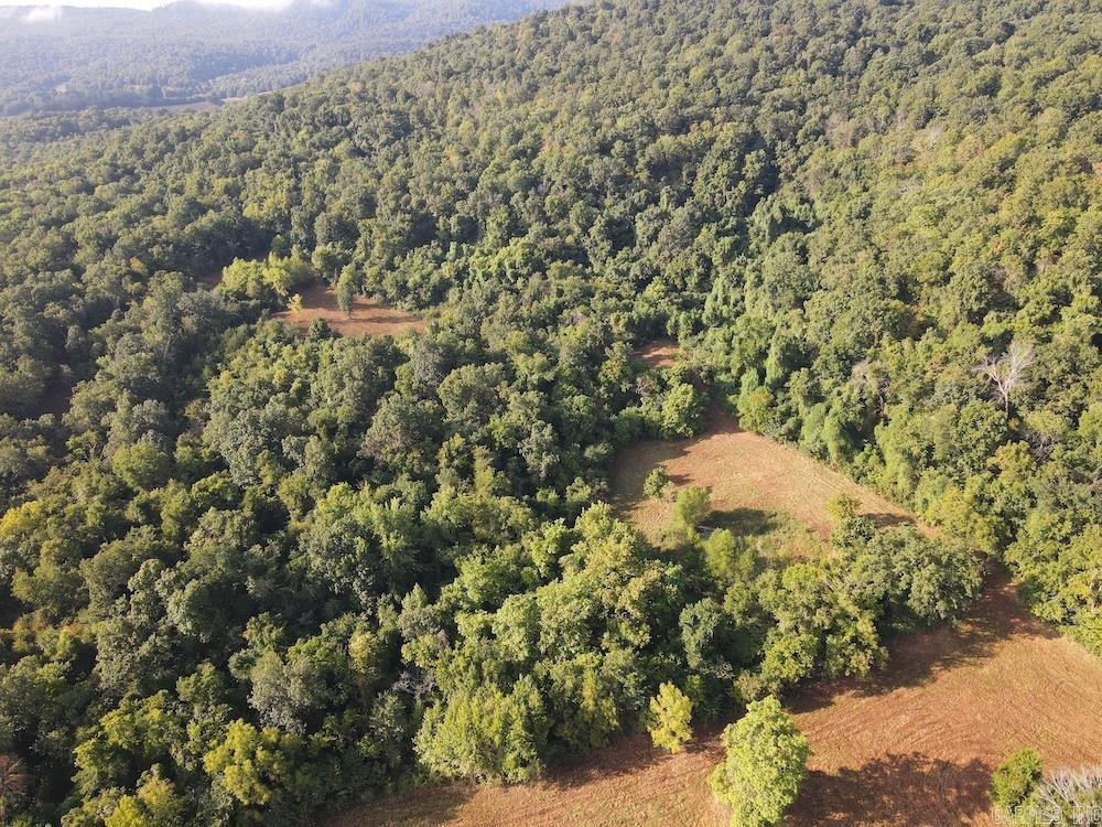 Lick Fork Road, Property Photo 5