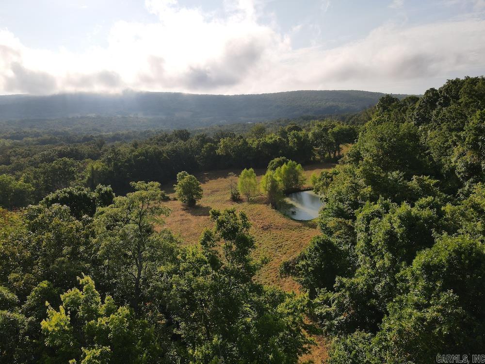 Lick Fork Road, Property Photo 7