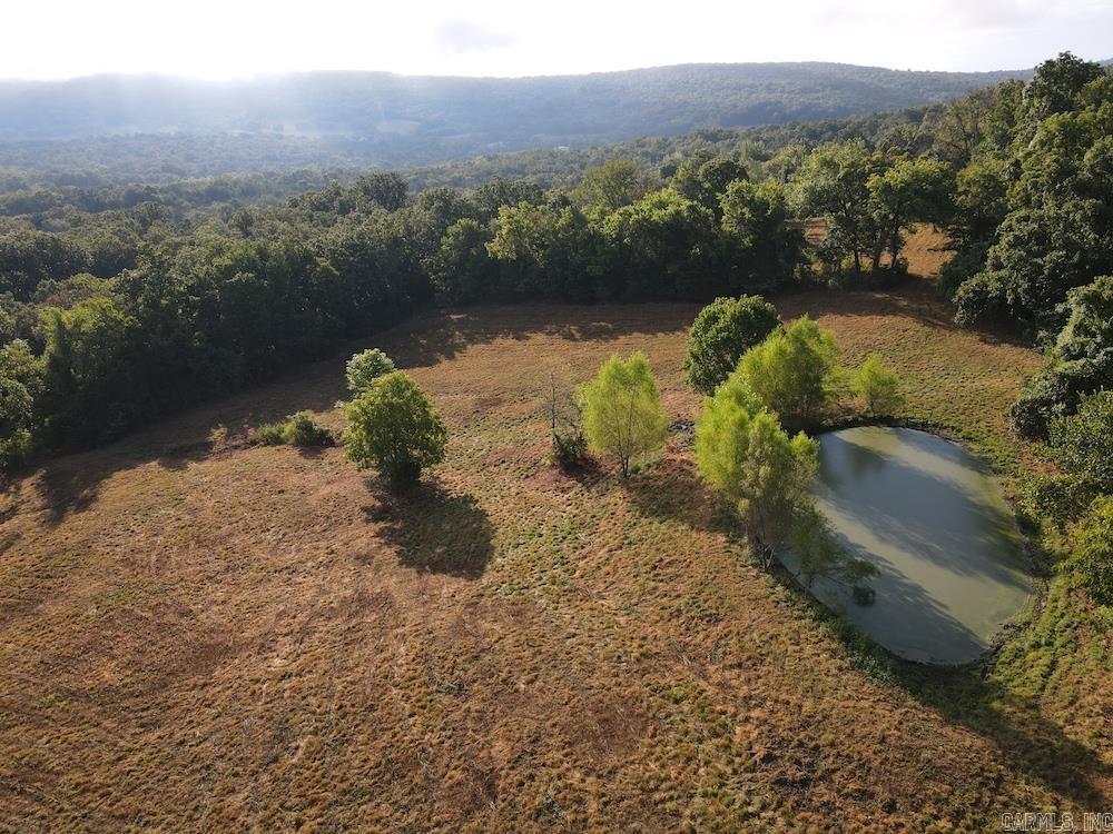 Lick Fork Road, Property Photo 8