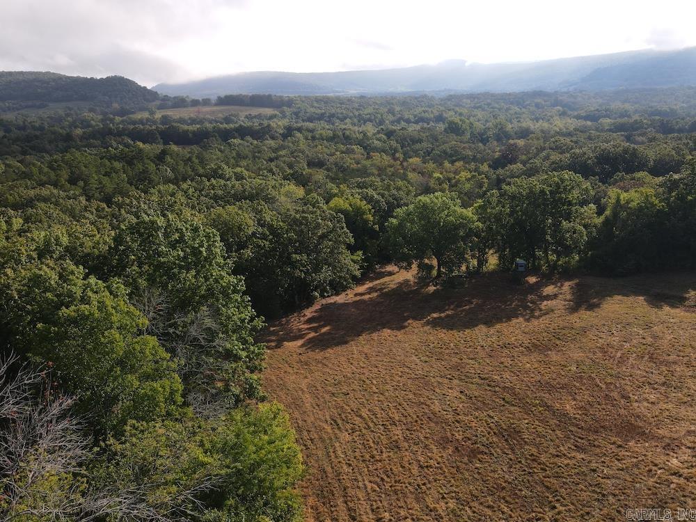 Lick Fork Road, Property Photo 9