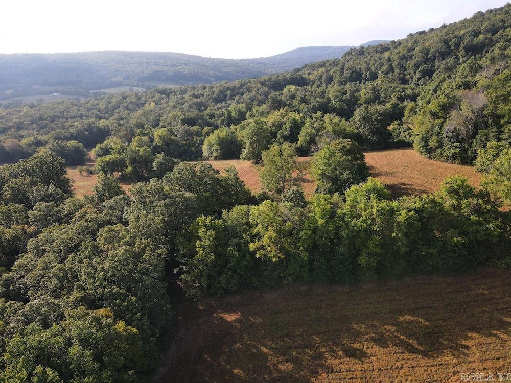 Lick Fork Road, Property Photo 10