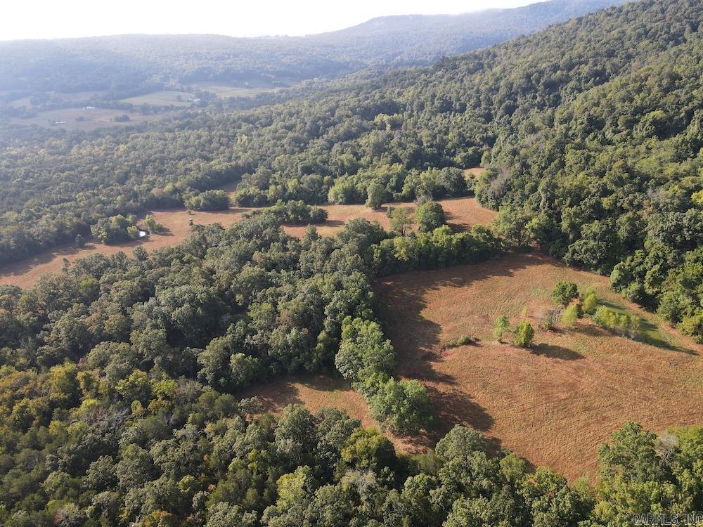 Lick Fork Road, Property Photo 11