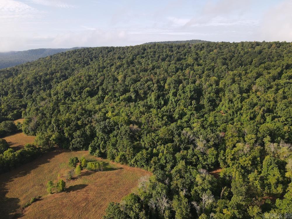 Lick Fork Road, Property Photo 12