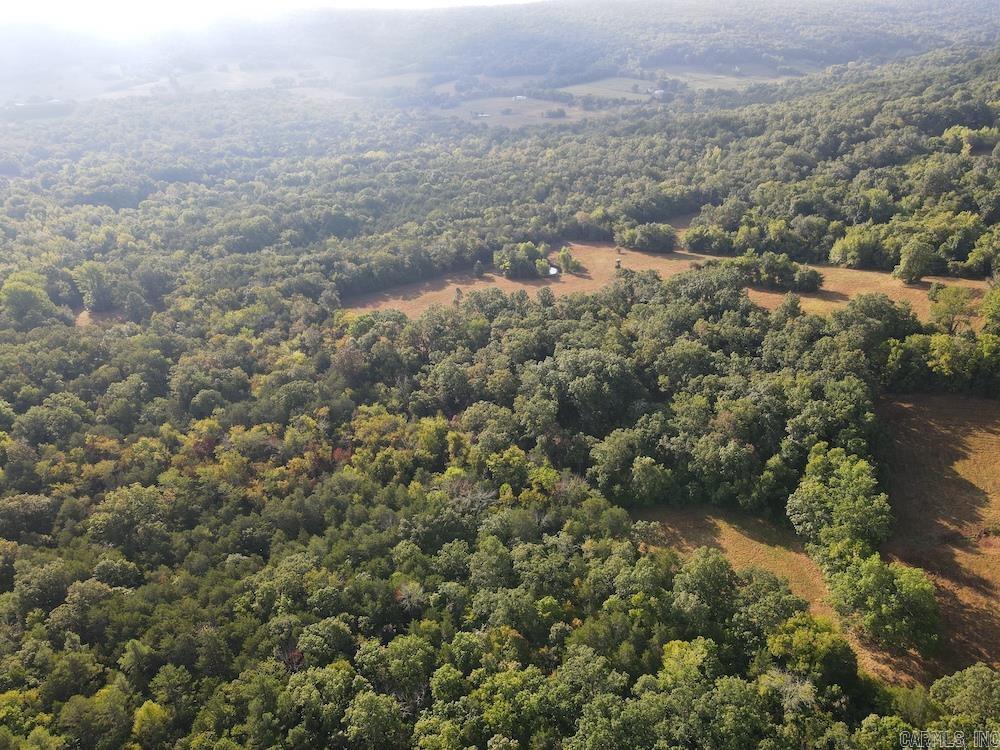 Lick Fork Road, Property Photo 13