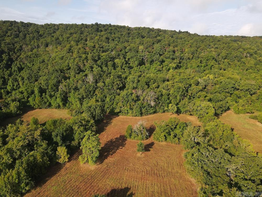 Lick Fork Road, Property Photo 15