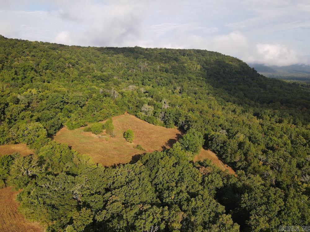 Lick Fork Road, Property Photo 16