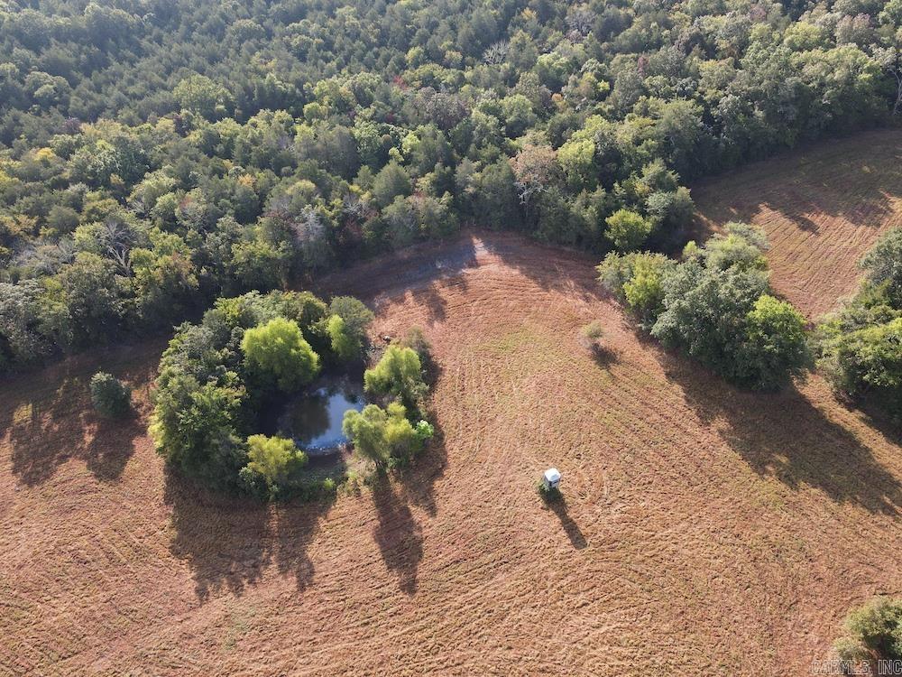 Lick Fork Road, Property Photo 17