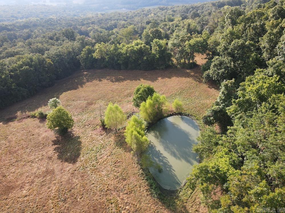 Lick Fork Road, Property Photo 19