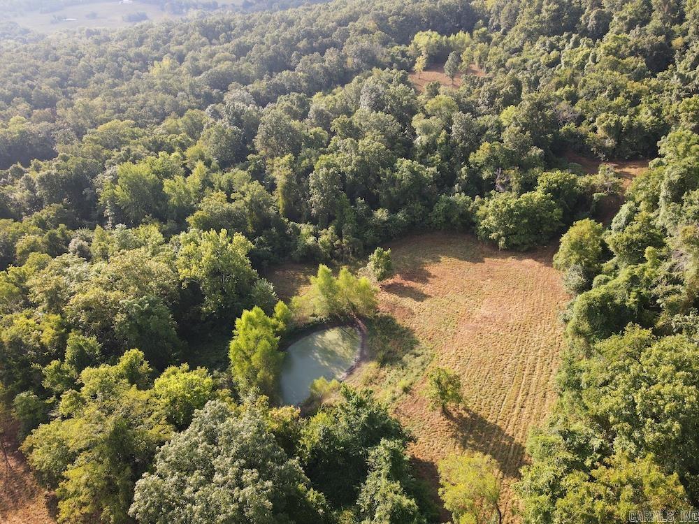 Lick Fork Road, Property Photo 20