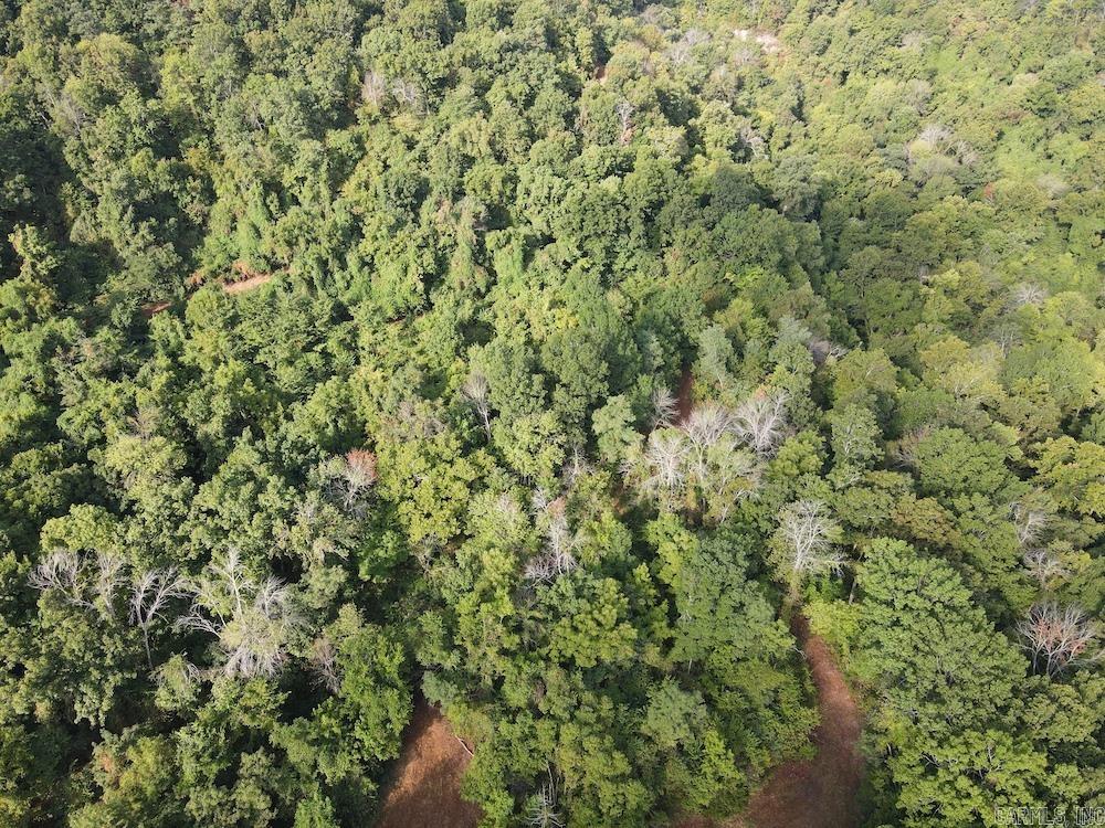 Lick Fork Road, Property Photo 21