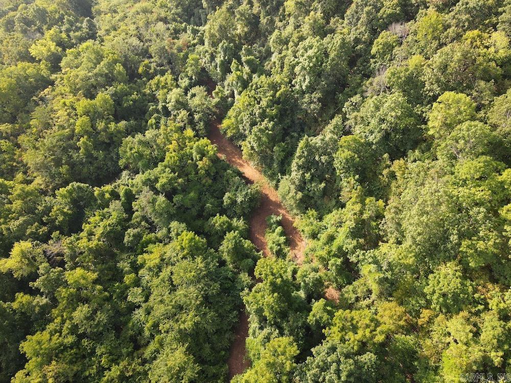 Lick Fork Road, Property Photo 23
