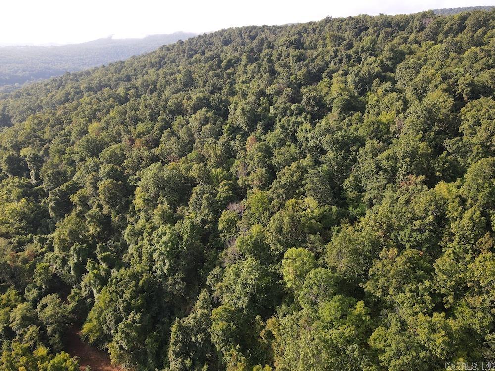 Lick Fork Road, Property Photo 24