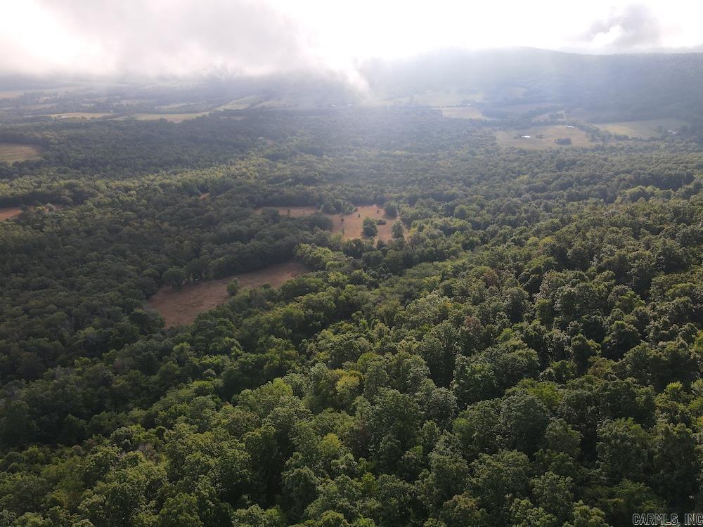 Lick Fork Road, Property Photo 25