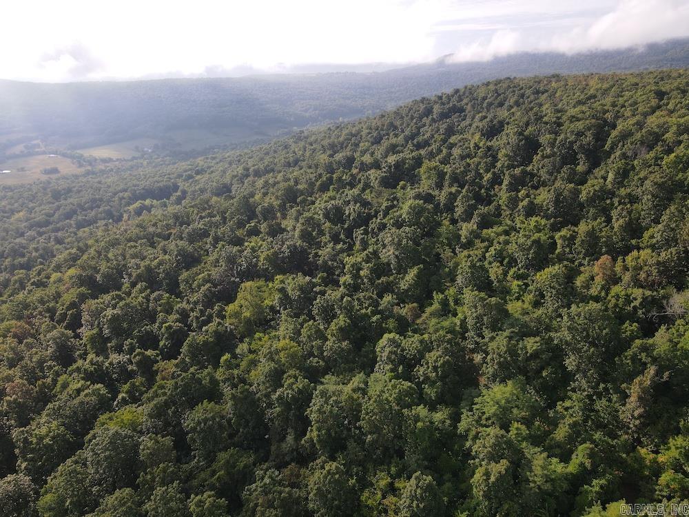 Lick Fork Road, Property Photo 26