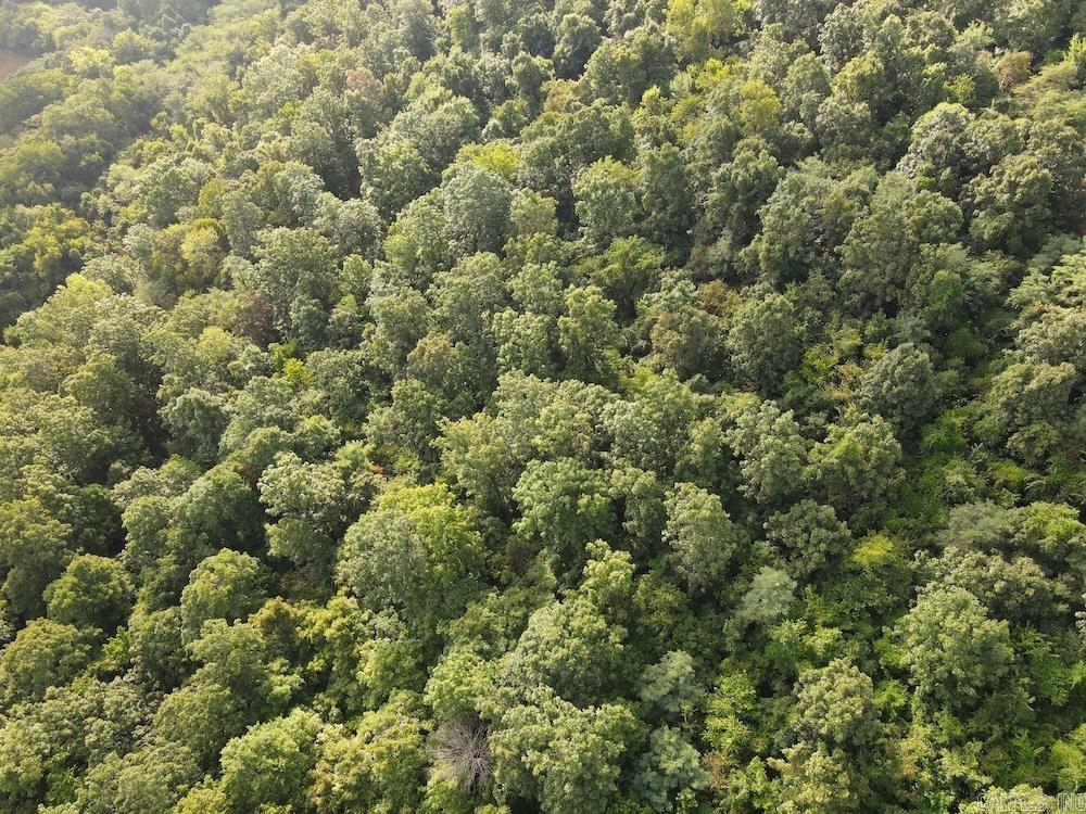 Lick Fork Road, Property Photo 27