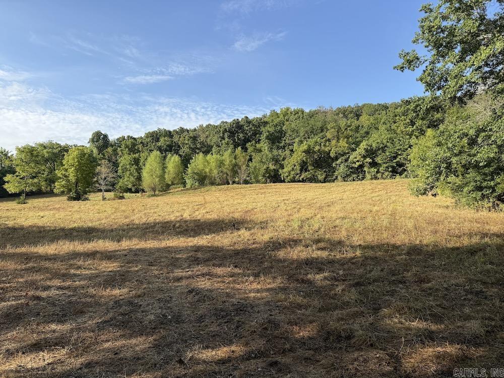 Lick Fork Road, Property Photo 29
