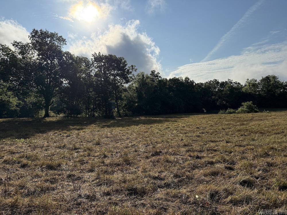 Lick Fork Road, Property Photo 30