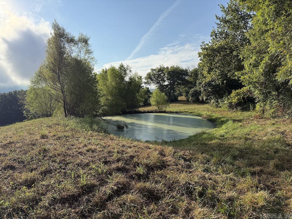 Lick Fork Road, Property Photo 31