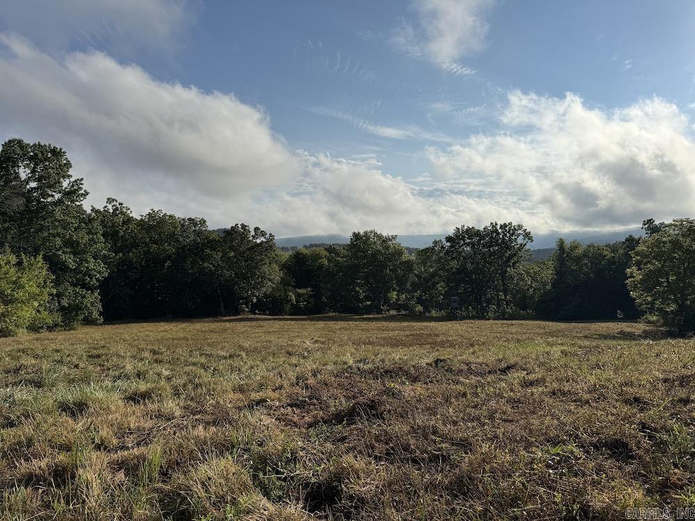 Lick Fork Road, Property Photo 32