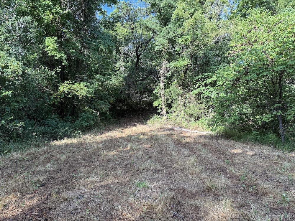 Lick Fork Road, Property Photo 33