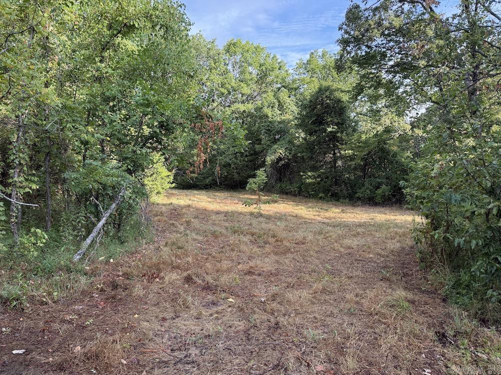 Lick Fork Road, Property Photo 34