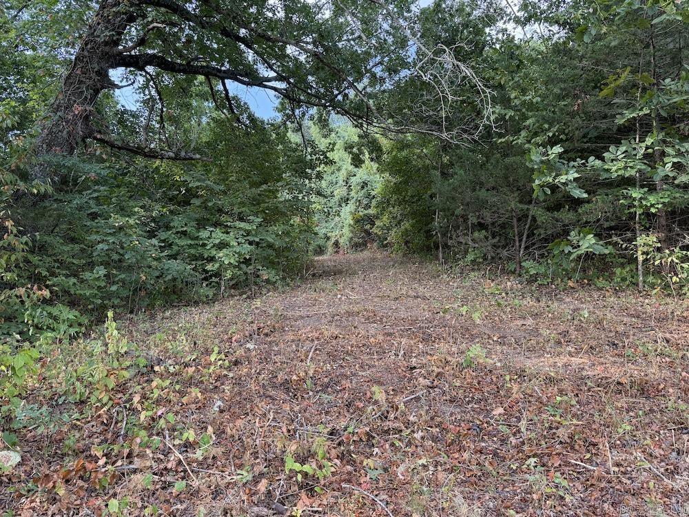 Lick Fork Road, Property Photo 35