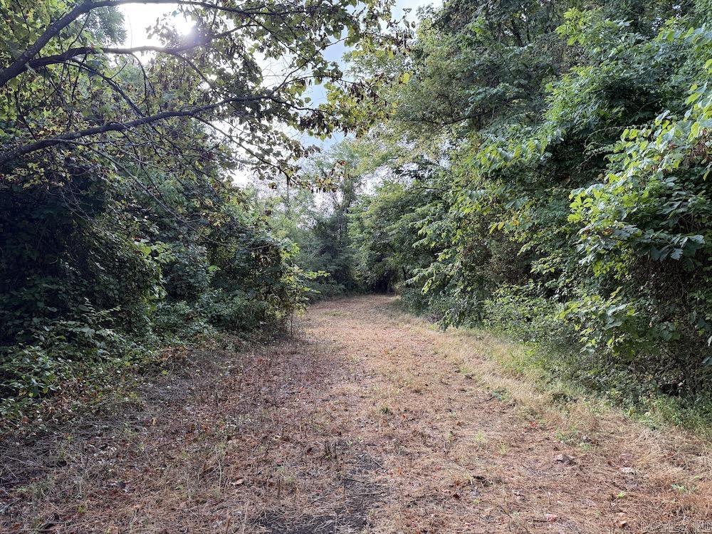 Lick Fork Road, Property Photo 36