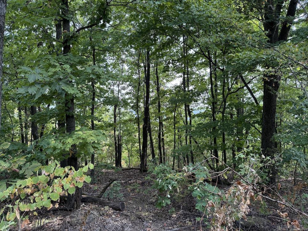 Lick Fork Road, Property Photo 37