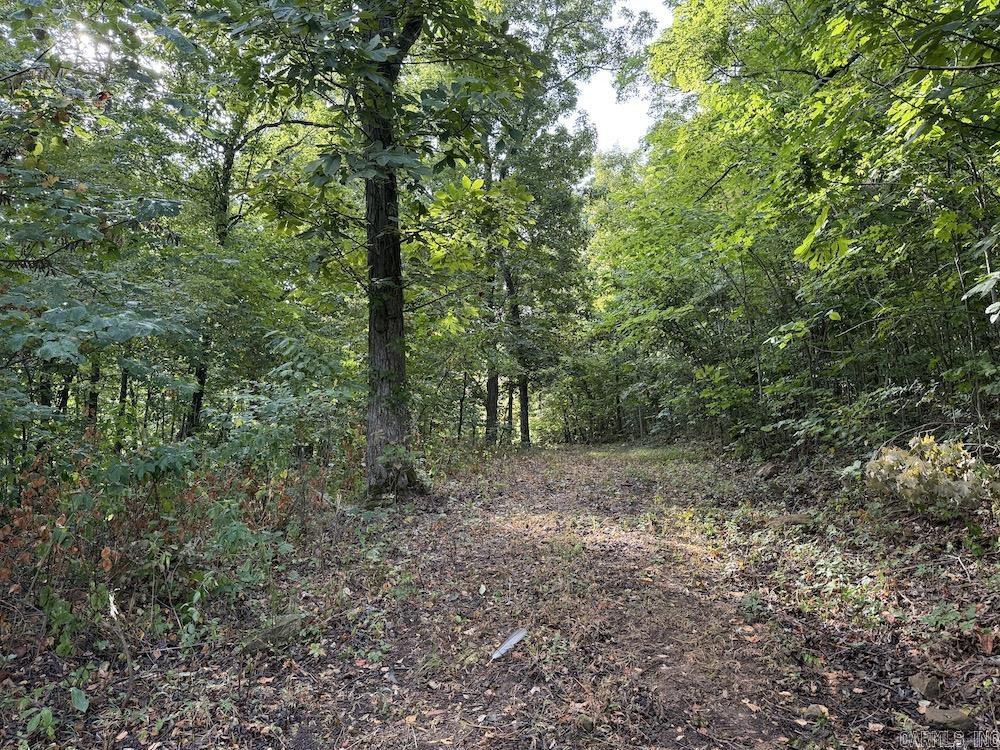 Lick Fork Road, Property Photo 38